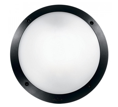 Уличный настенный светильник Ideal Lux Lucia-1 AP1 Nero 096674 Уличный настенный светильник Ideal Lux Lucia-1 AP1 Nero 096674
