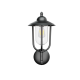 Уличный настенный светильник Covali WL-31080