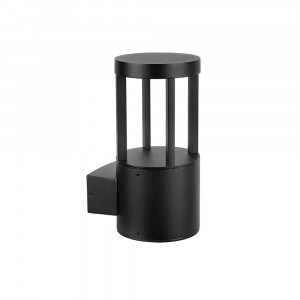 Уличный настенный светильник Arte Lamp Carcassa A4666AL-1BK
