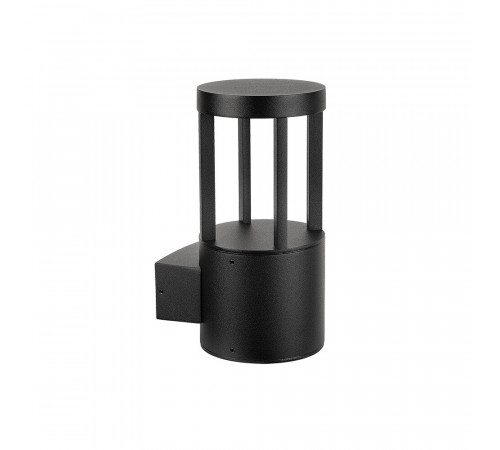 Уличный настенный светильник Arte Lamp Carcassa A4666AL-1BK