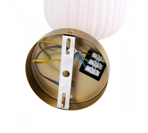 Бра Lumion Moderni Alegra 8334/1W Бра Lumion Moderni Alegra 8334/1W