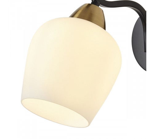Бра Freya Shadow FR5422WL-01BZ