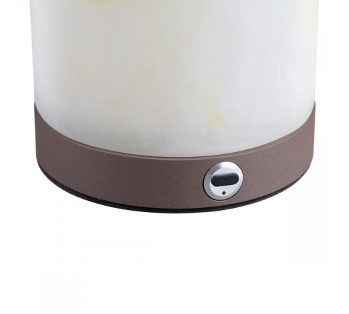 Настольная лампа Odeon Light Nature Candela 7190/2TL