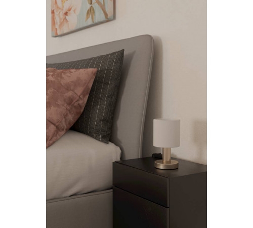 Настольная лампа Eglo Montetto 31841