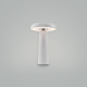 Настольная аккумуляторная лампа Freya Mushroom FR6109TL-L4W