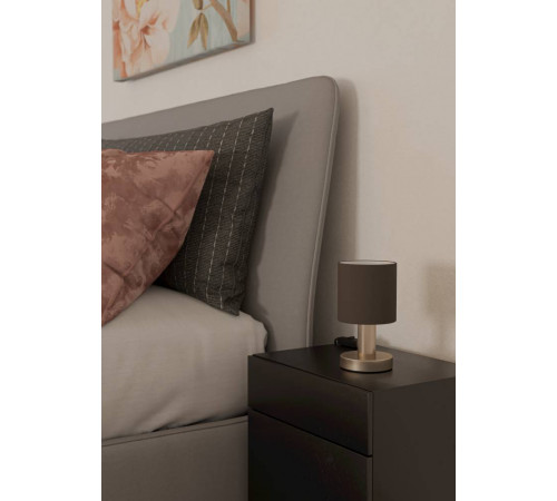 Настольная лампа Eglo Montetto 31842