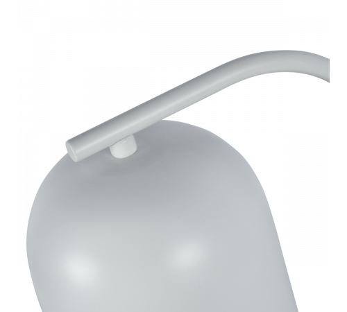 Настольная лампа Zortes DeskLight ZRS.1066.02