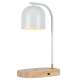 Настольная лампа Zortes DeskLight ZRS.1066.02
