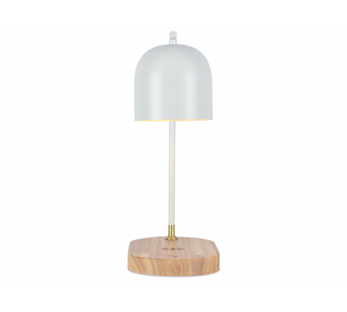 Настольная лампа Zortes DeskLight ZRS.1066.02