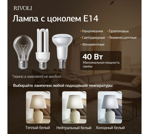 Настольная лампа Rivoli Naomi 7551-501 Б0070139