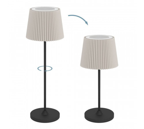 Настольная лампа аккумуляторная Eglo Leonero 75934