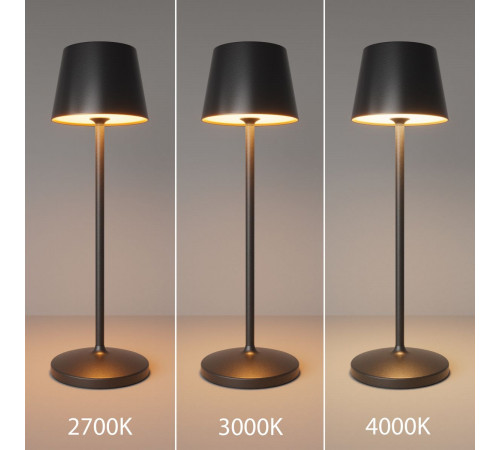 Настольная лампа с аккумулятором Maytoni Nook MOD494RL-L1BK