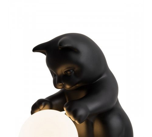 Настольная лампа с аккумулятором Freya Whisker FR5607TL-01B