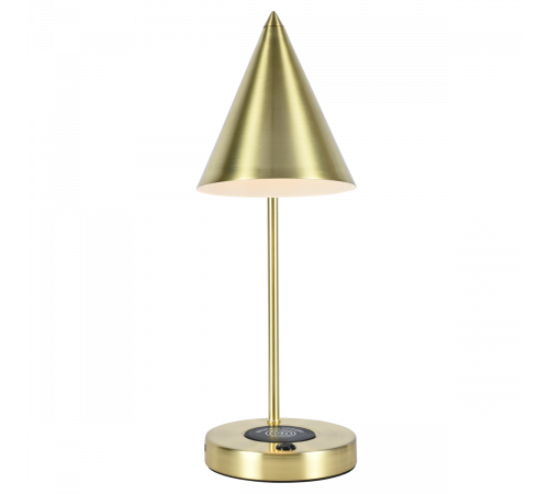 Настольная лампа Zortes DeskLight ZRS.1066.06