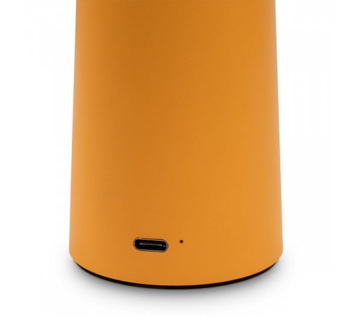 Настольная лампа Freya Mushroom FR6109TL-L4OR