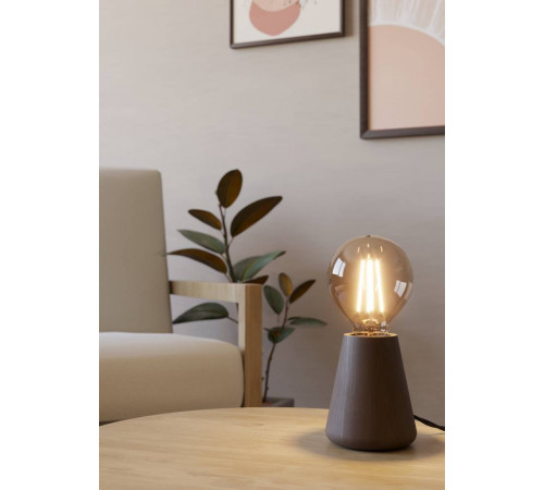 Настольная лампа Eglo Asby 44015