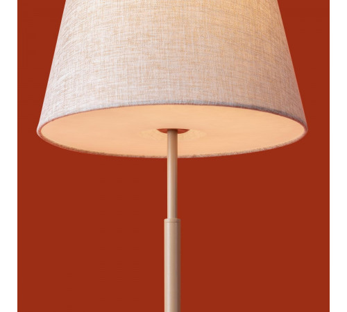 Настольная лампа Freya Butler FR2057TL-01BG