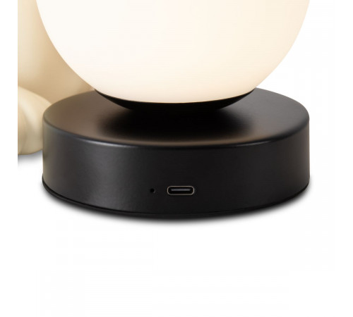 Настольная лампа Freya Whisker FR5607TL-01W