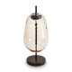 Настольная лампа Freya Pallada FR5586TL-01B