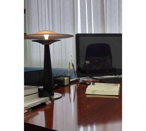 Настольная лампа Lussole Major LSP-4008