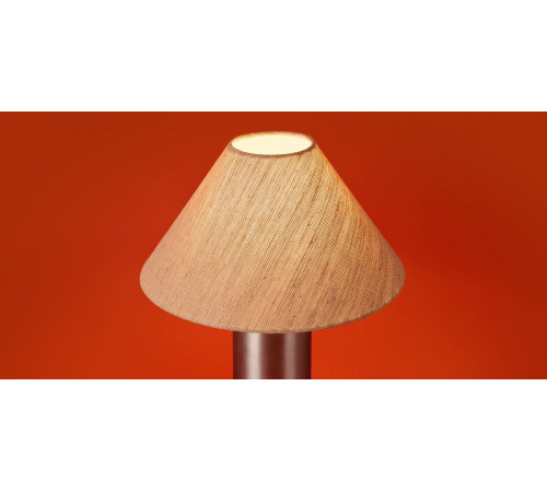 Настольная лампа Freya Zoe FR5632TL-01N