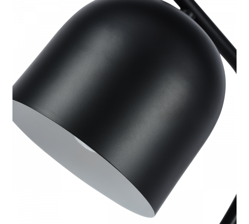 Настольная лампа Zortes DeskLight ZRS.1066.01