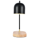 Настольная лампа Zortes DeskLight ZRS.1066.01