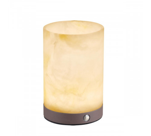 Настольная лампа Odeon Light Nature Candela 7190/2TL