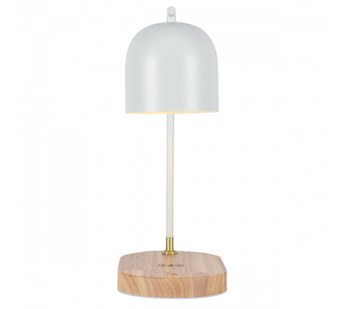Настольная лампа Zortes DeskLight ZRS.1066.02