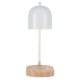 Настольная лампа Zortes DeskLight ZRS.1066.02