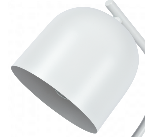 Настольная лампа Zortes DeskLight ZRS.1066.02
