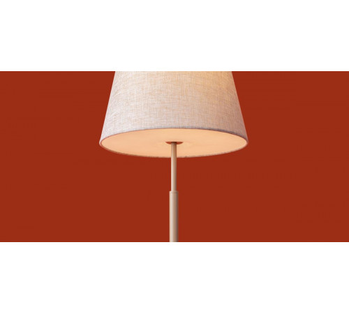 Настольная лампа Freya Butler FR2057TL-01BG