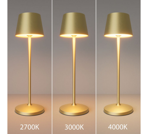 Настольная лампа с аккумулятором Maytoni Nook MOD494RL-L1BSK