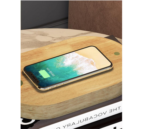 Настольная лампа Zortes DeskLight ZRS.1066.01