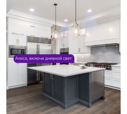 Светодиодная диммируемая лампа Gauss Smart Light Е27 27W 2700К 1400112 Светодиодная диммируемая лампа Gauss Smart Light Е27 27W 2700К 1400112