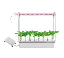 Светодиодный светильник для растений (UL-00004496) Uniel Гидропоника ULT-P44A-10W/SPSB IP40 Aqua White