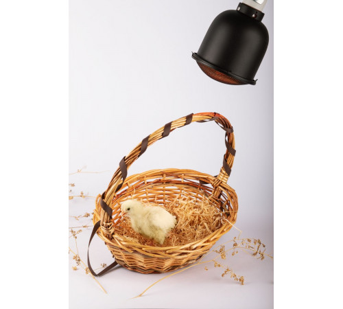 Светильник для террариумов и брудеров Эра FITO-E27-SHADE Б0053286