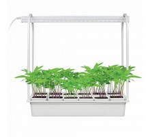Светодиодный светильник для растений (UL-00004998) Uniel Minigarden ULT-P34-10W/Sple IP40 White 12