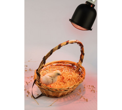Светильник для террариумов и брудеров Эра FITO-E27-SHADE Б0053286