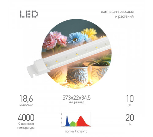 Светильник для растений Эра FITO-10W-Т5-PFR-Slim-GR Б0066968 Светильник для растений Эра FITO-10W-Т5-PFR-Slim-GR Б0066968
