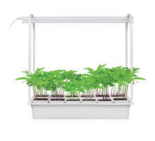 Светодиодный светильник для растений Uniel Minigarden (UL-00007471) ULT-P34-10W/SPBR IP20 White 12