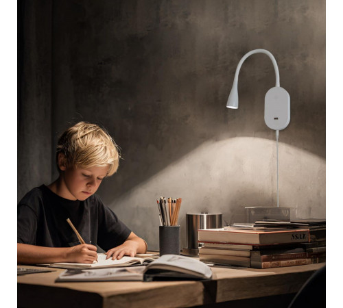 Светильник настенный Citilux Рио CL704380N