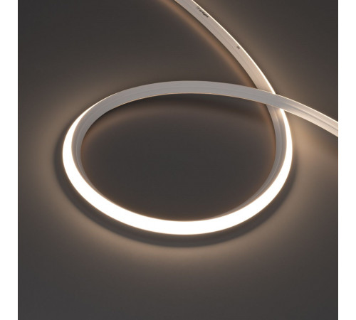 Светодиодная лента герметичная Arlight MOONLIGHT-3D-X544-10x10mm 24V Day4000 (8 W/m, IP67, 5m, wire x1) (Вывод боковой) 041501