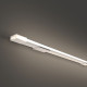 Гибкий неон Maytoni Led strip 24В 9,6Вт/м 4000K 5м IP67 432038