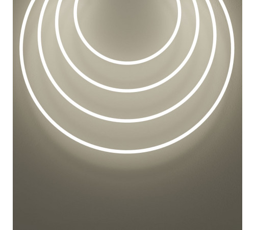 Гибкий неон Maytoni Led strip 24В 14,4Вт/м 6000K 5м IP67 432047 Гибкий неон Maytoni Led strip 24В 14,4Вт/м 6000K 5м IP67 432047