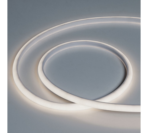 Гибкий влагозащищенный  неон Arte Lamp Neon Termo 24V 14W/m 6000K 5m IP68 A2418013-03-6K