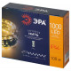 Светодиодная гирлянда Эра ENIN-1000G Б0060427