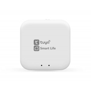 Конвертер Wi-Fi управления светильниками Ambrella Light Track System GL1920