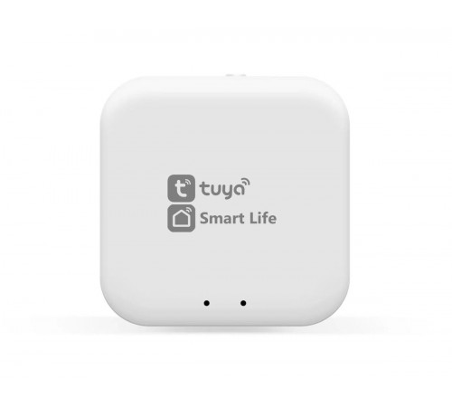 Конвертер Wi-Fi управления светильниками Ambrella Light Track System GL1920