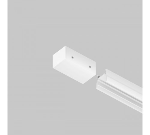 Заглушка к профилю Maytoni Elasity IP O-TR001-EC-W Заглушка к профилю Maytoni Elasity IP O-TR001-EC-W